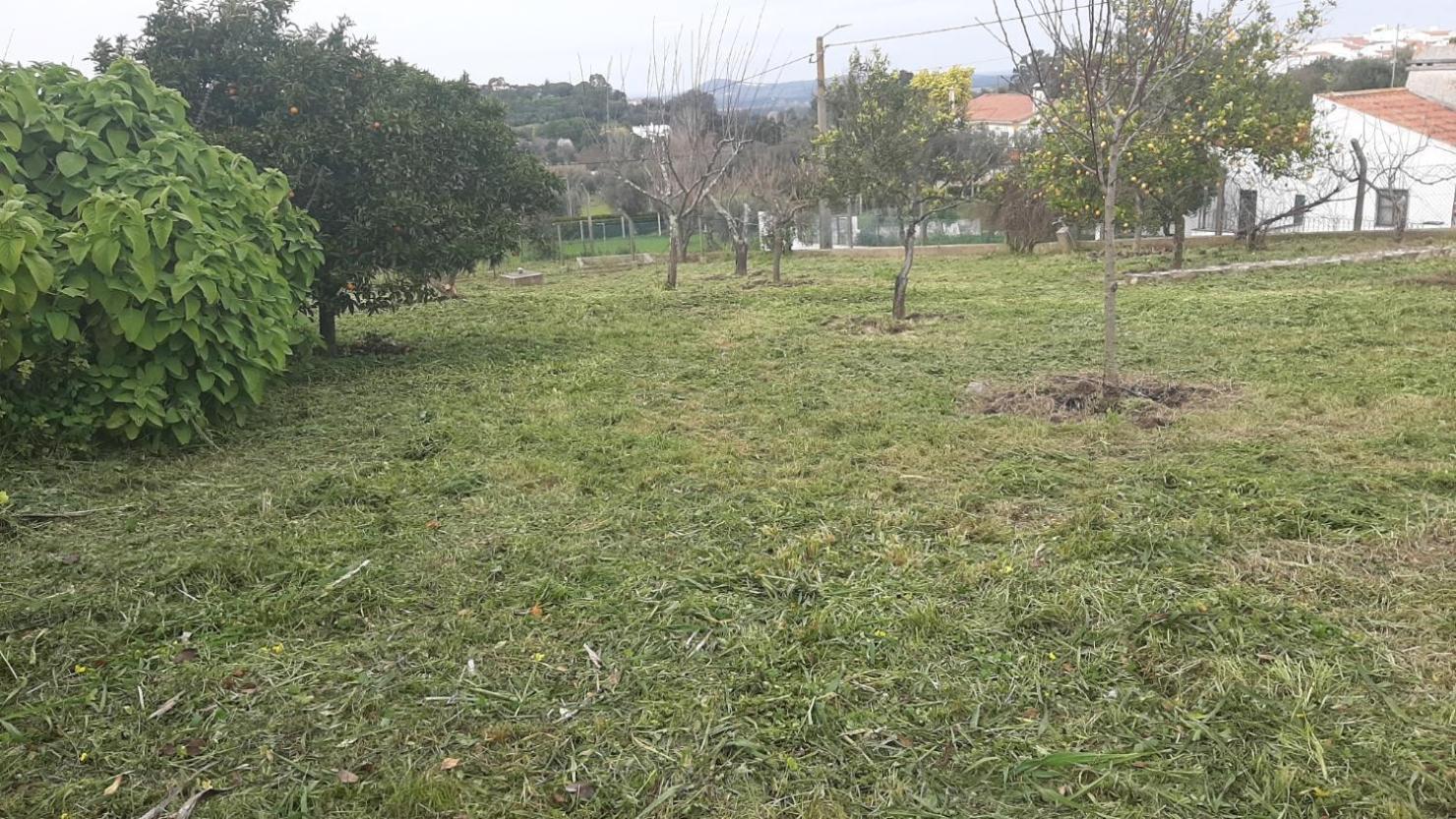 Casa Das 3 Palmeiras Arraiolos Exterior foto